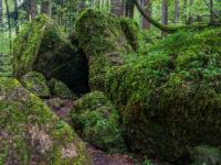 Verkeilte, bemooste Felsblöcke bilden eine Grotte